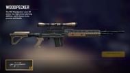The Woodpecker is a Sniper Rifle that uses AR Ammo